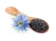 Graine de Nigelle avec sa fleur